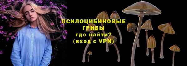 индика Абдулино