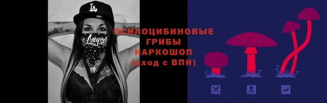 индика Абдулино