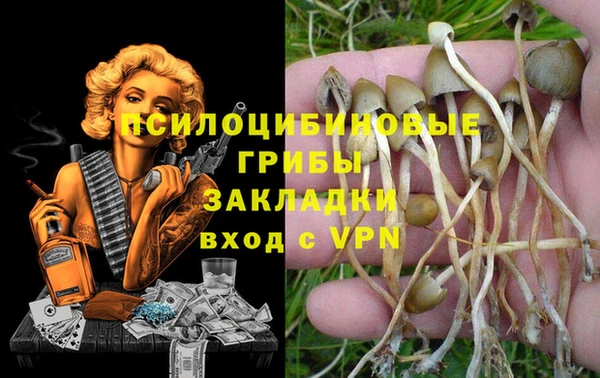 индика Абдулино