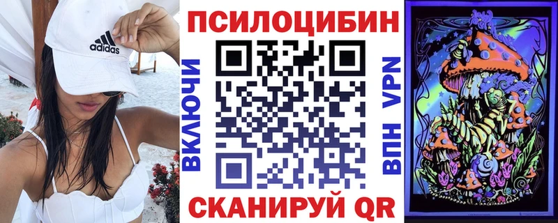 Псилоцибиновые грибы GOLDEN TEACHER  darknet телеграм  Нариманов 